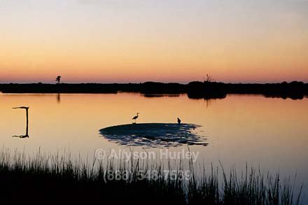 Sunrise Over Ibis Pond
