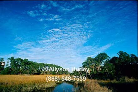 Marsh with Blue Sky