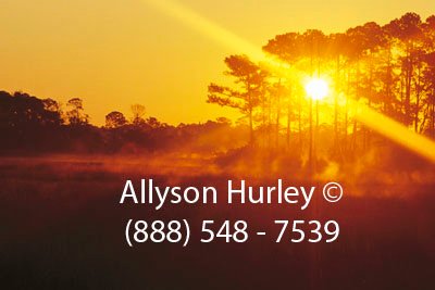 Sunrise with Mist in Marsh