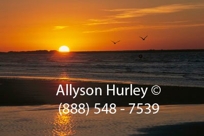 Dawn With Mist Two Seagulls