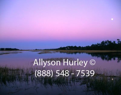 Moonrise Over Marsh
